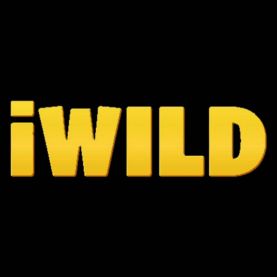 iWild nowe kasyna online